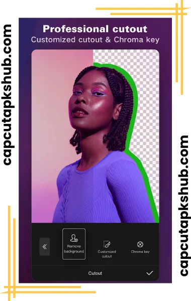 Professional-CutOut, and Croma Key and Remove Background